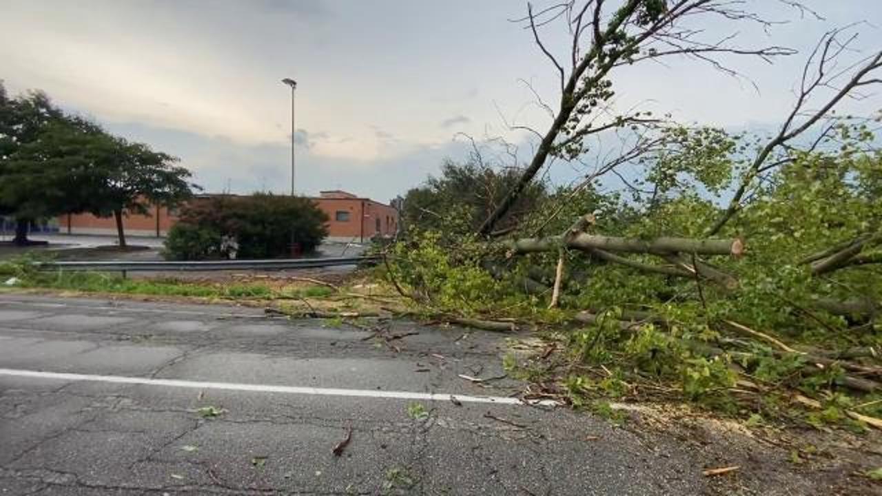 Nubifragio su Vigevano, le immagini dei danni - La Provincia Pavese