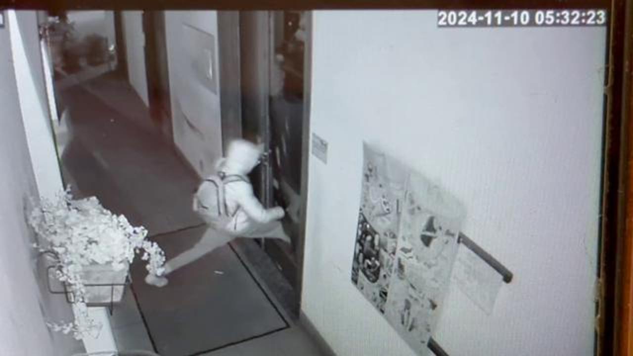 Albonese, sfondano la vetrata del bar Roma per rubare ma la cassa è ...