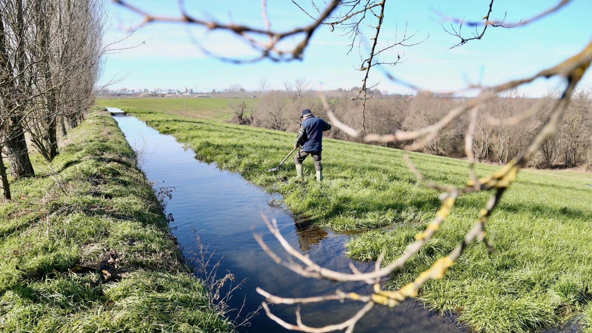 Marcite medievali a rischio tra burocrazia e incuria - La Provincia Pavese