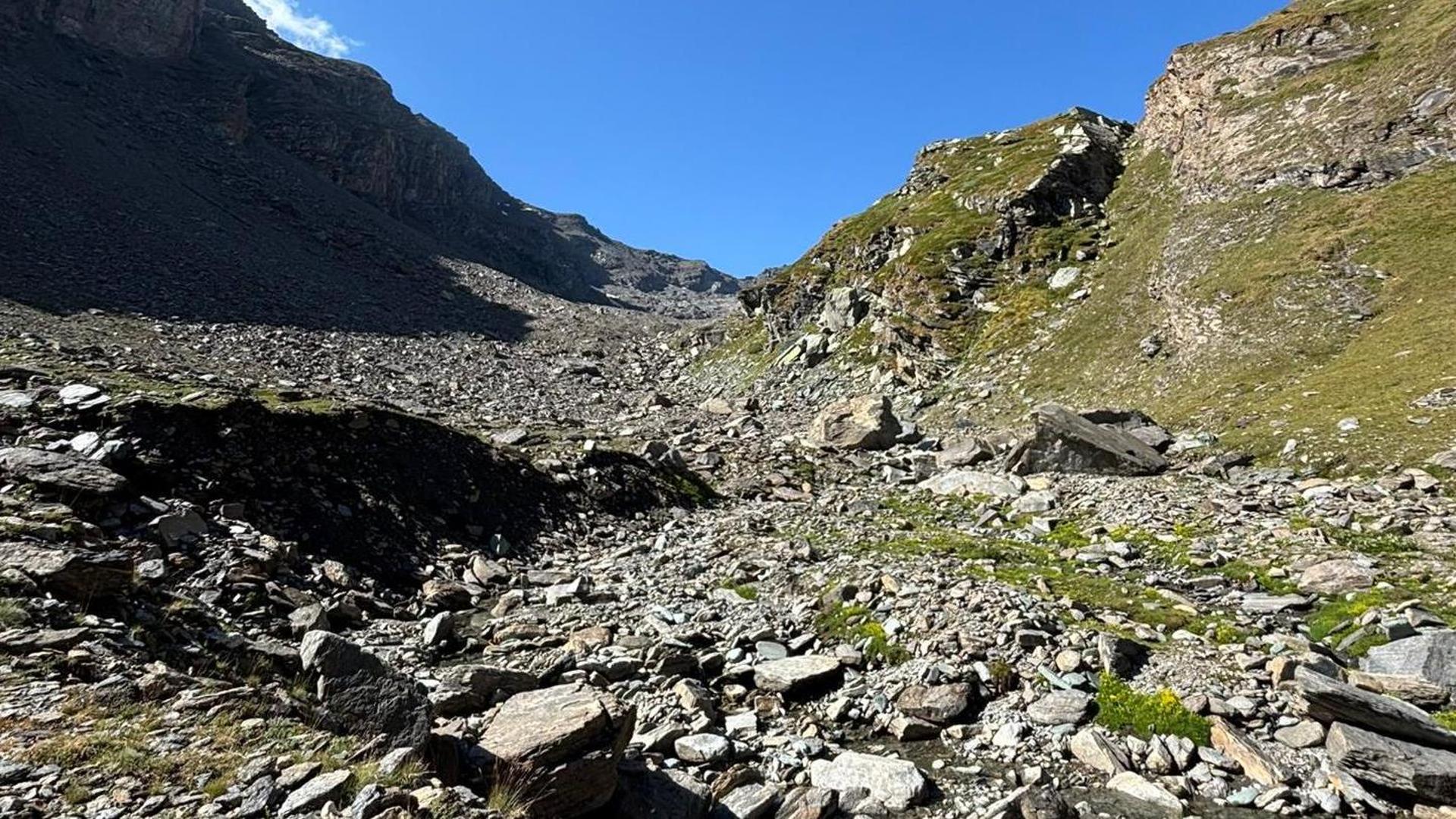 机のバラへの氷は、破片の山のままです