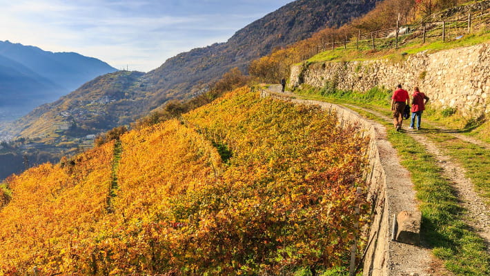 In e-bike sulla Via dei terrazzamenti per ammirare i muretti a secco  targati Unesco in Valtellina - La Stampa