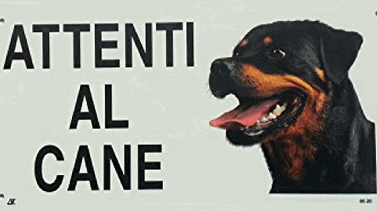 Cartello Attenzione Al Cane Leonberg - Metallico Per Esterno 290x190mm - 10