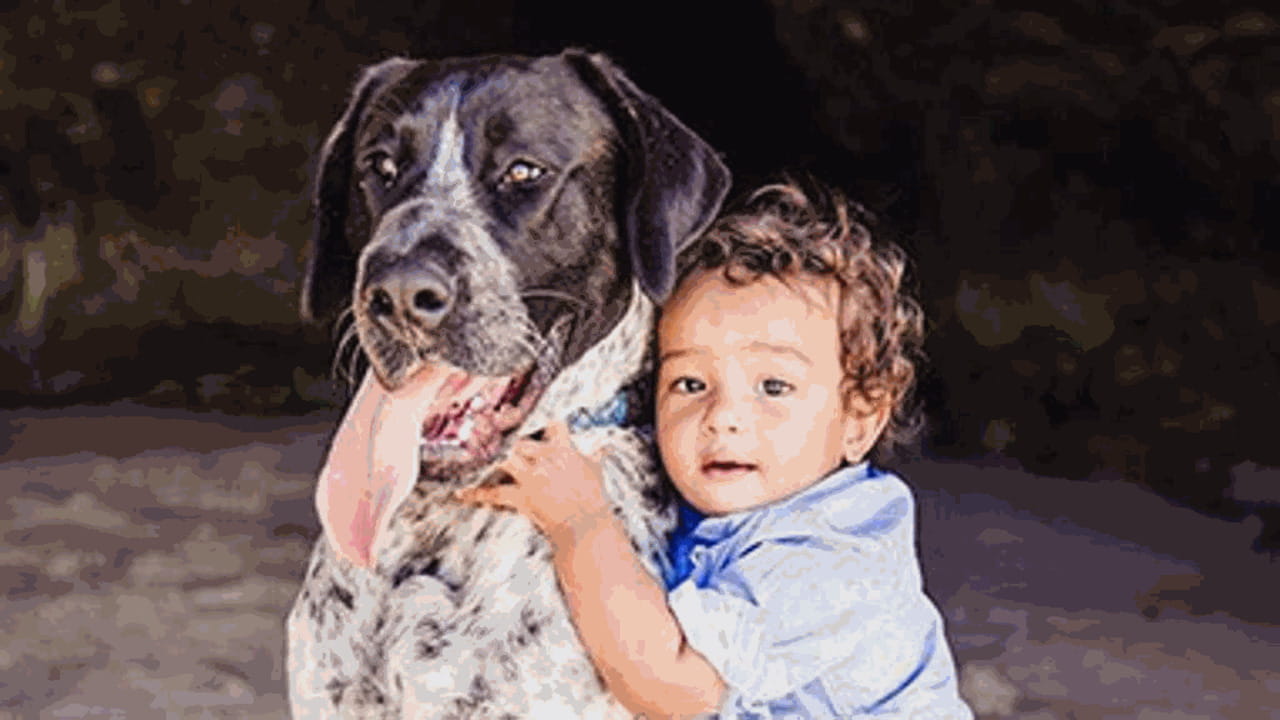 Sconosciuti donano oltre 12mila dollari per salvare la vita a un cane ...