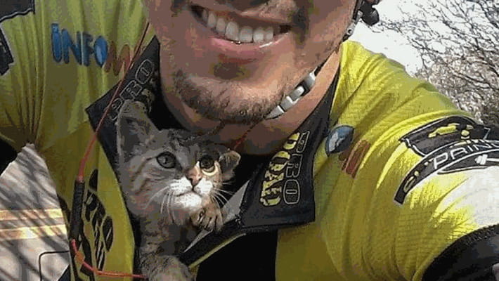 Ciclista salva un gatto dalla strada e lo porta a casa in bici ...