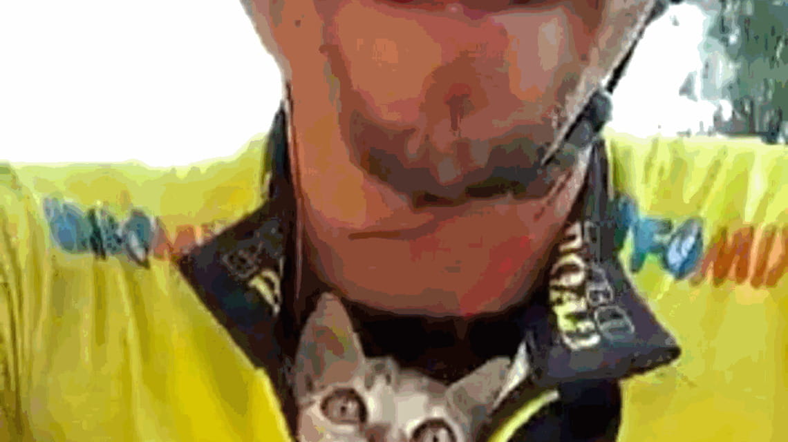 Ciclista salva un gatto dalla strada e lo porta a casa in bici ...