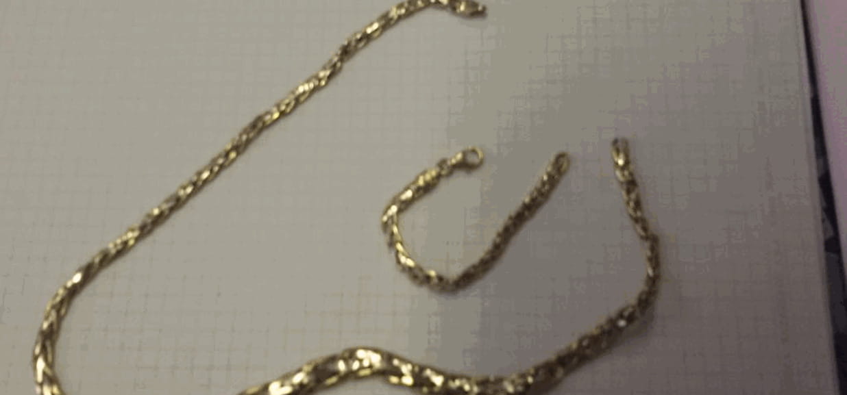 Rapinatore Braccato Dalla Polizia Ingoia Una Collana D oro La Stampa