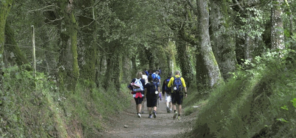 Il Cammino di Santiago, breve piace di più - La Stampa