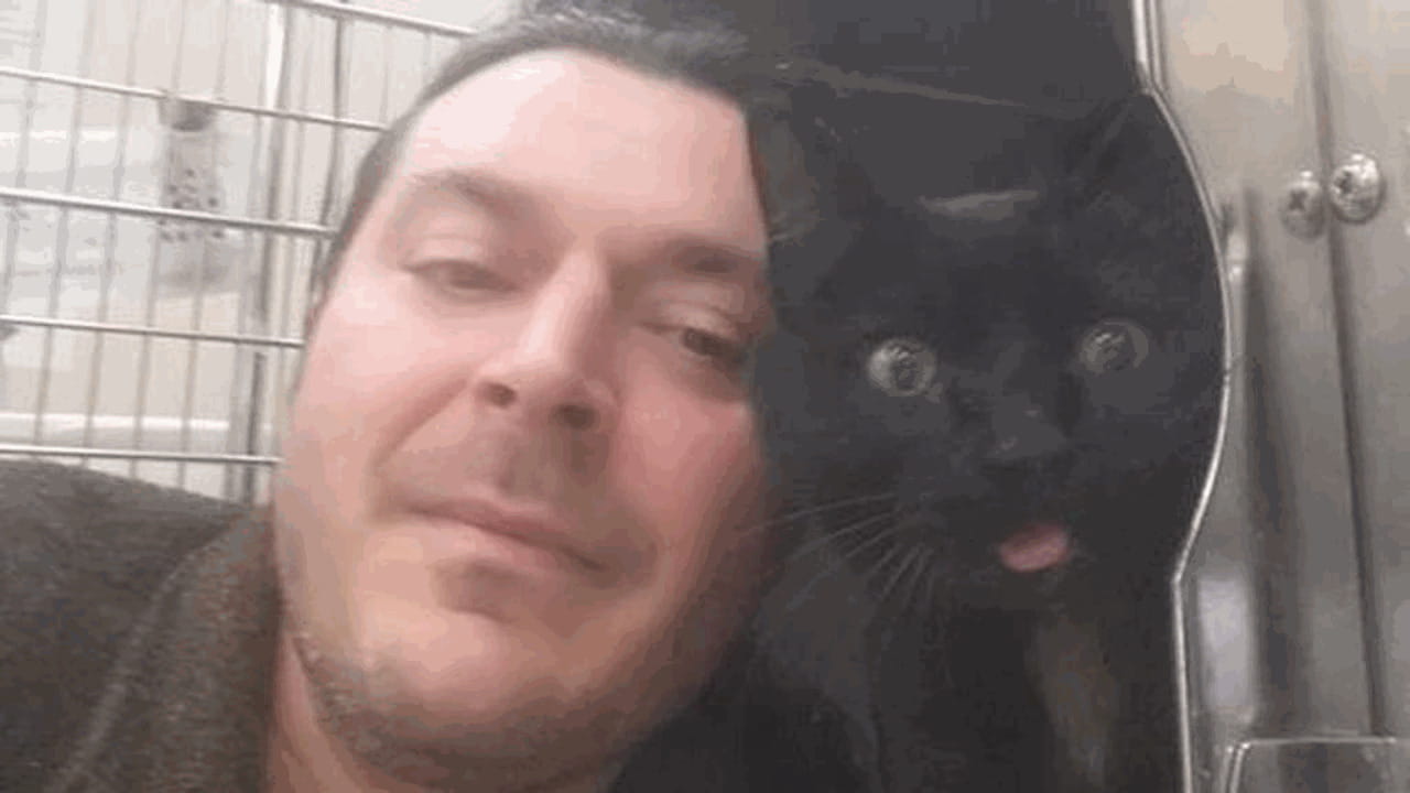 Camionista salva un gatto dalla tempesta e lo adotta - La Stampa