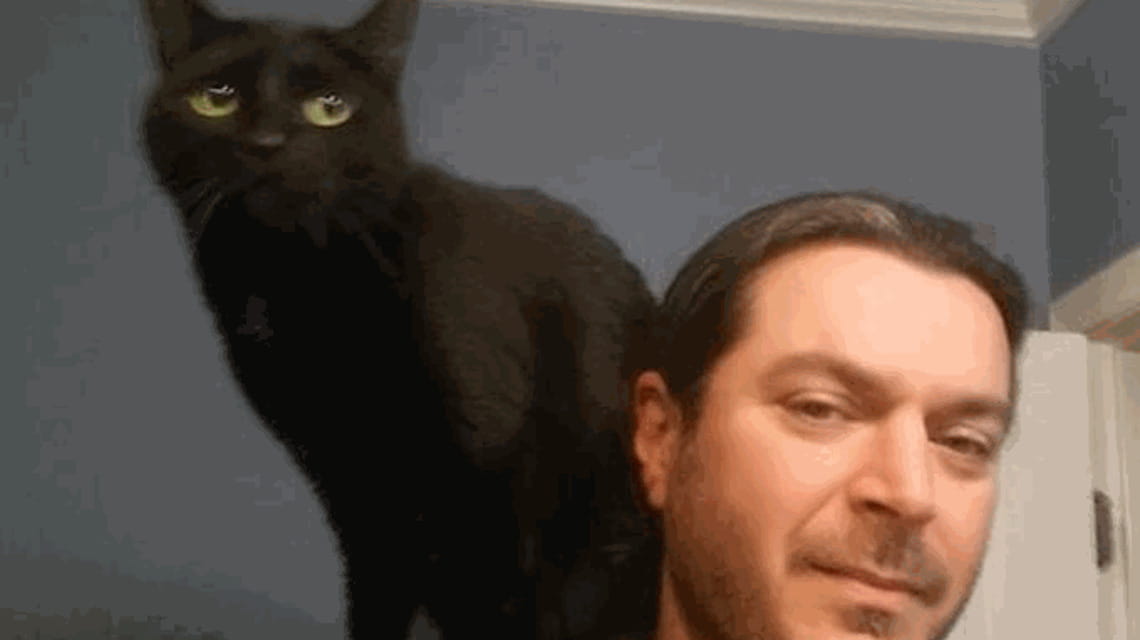 Camionista salva un gatto dalla tempesta e lo adotta - La Stampa