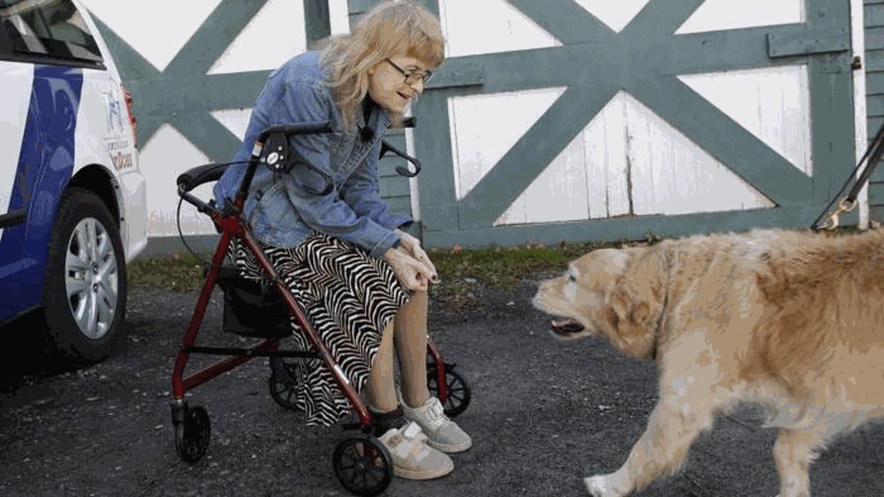 Donna non vedente ritrova il cane che le ha salvato la vita - La Stampa