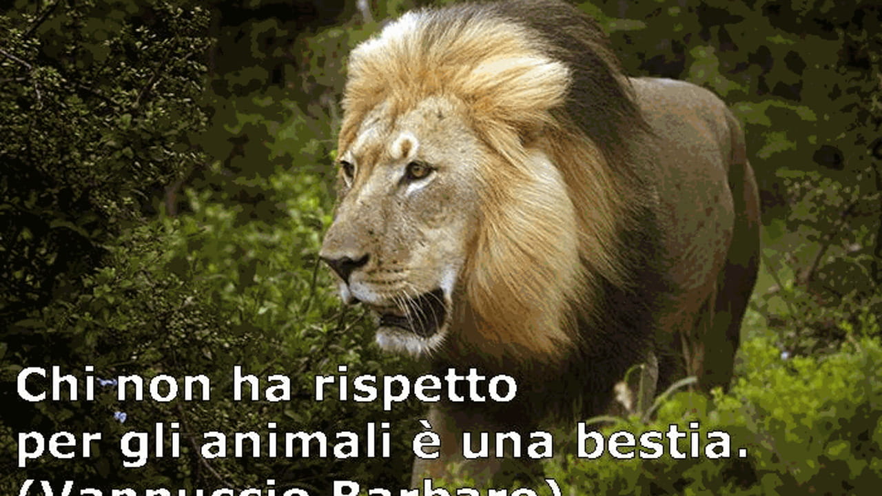 Chi non ha rispetto per gli animali... - La Stampa