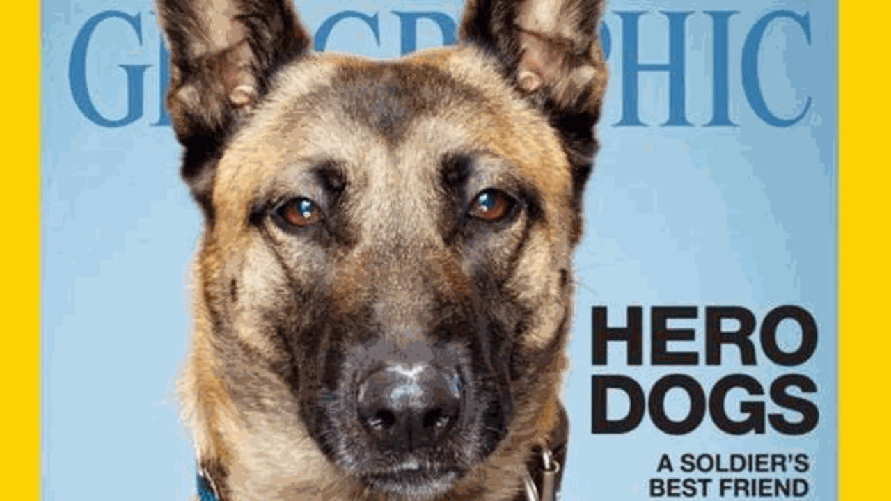 Soldato Usa adotta il cane che gli ha salvato la vita - La Stampa