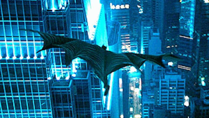 Il cavaliere oscuro (2008) scheda film