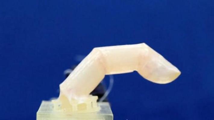 Giappone: messo a punto un dito robotico rivestito di pelle umana “vivente”