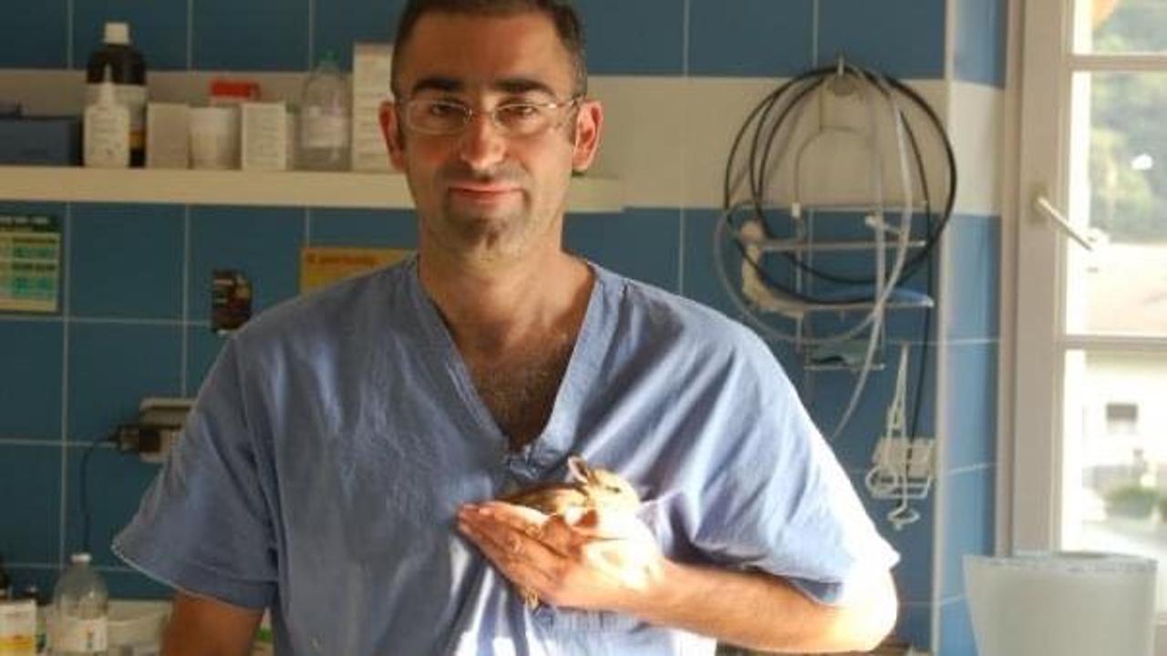 Temperature elevate, attenzione a cani e gatti. I consigli del veterinario Federico Cavalli - La