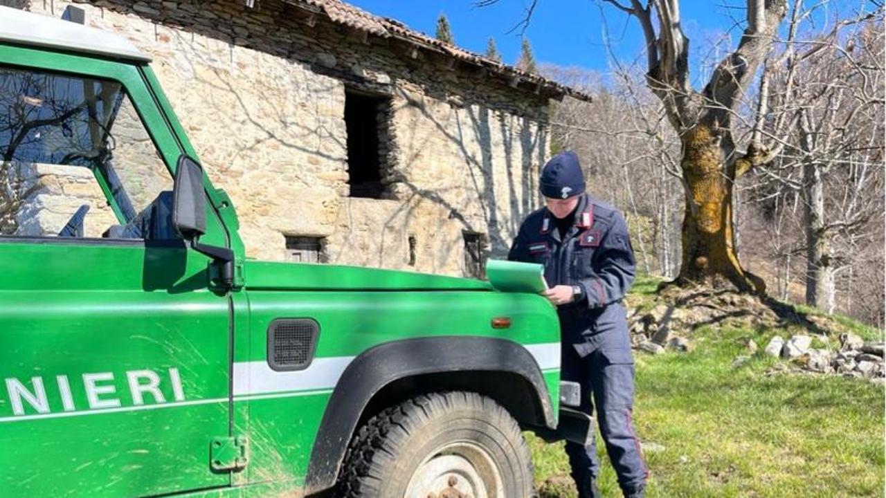 Cane legato ad una catena e un altro abbandonato in strada, allevatrice ...