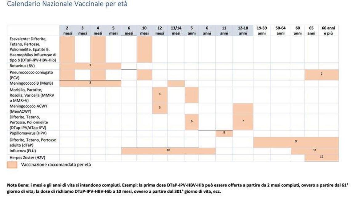 Piano Nazionale Vaccinale 2023 2025 Per Piccoli Ragazzi E Adulti Le Piano Nazionale Vaccinale 2023 2025 Per Piccoli Ragazzi E Adulti Le