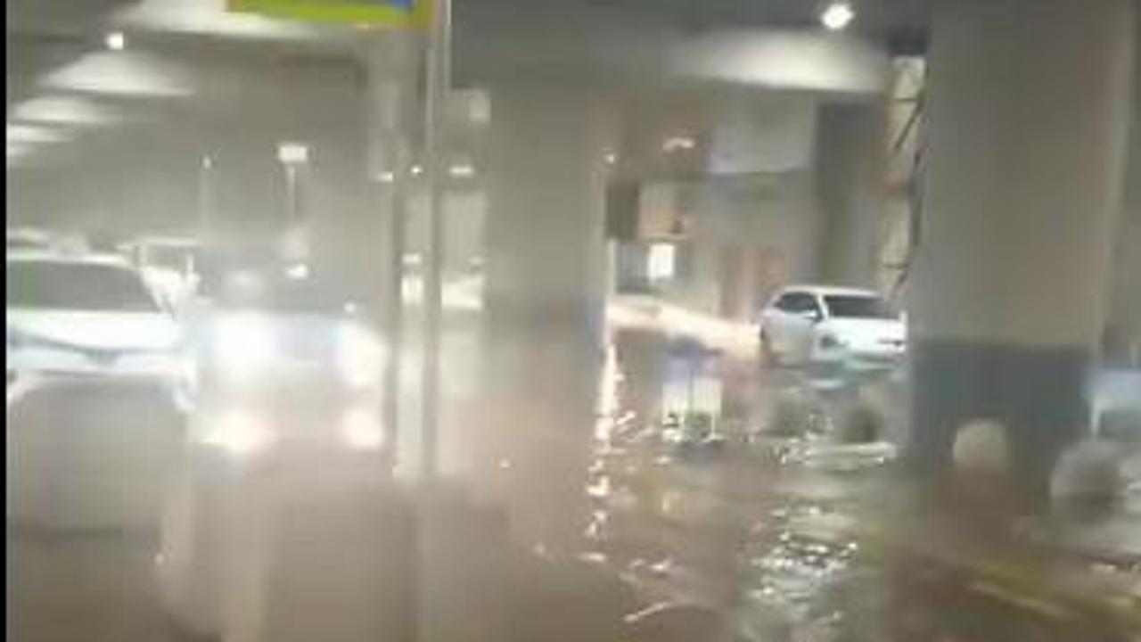 voli in arrivo a torino caselle oggi