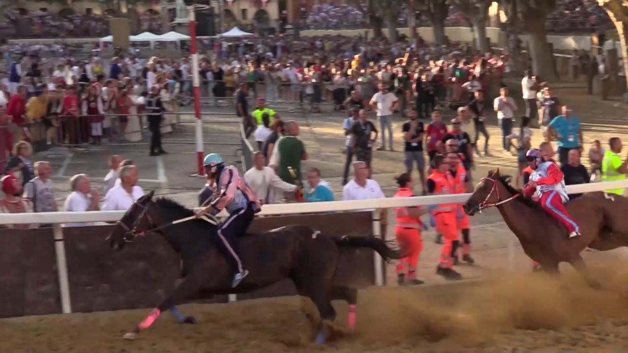Palio di Asti, attimi di paura per il fantino di Nizza: cade da cavallo ...