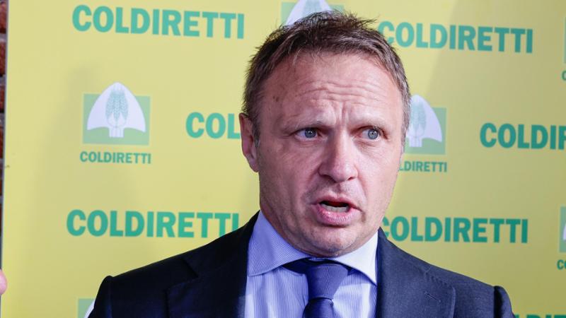 Se il ministro dell’Agricoltura Lollobrigida non sa che cos’è la canapa