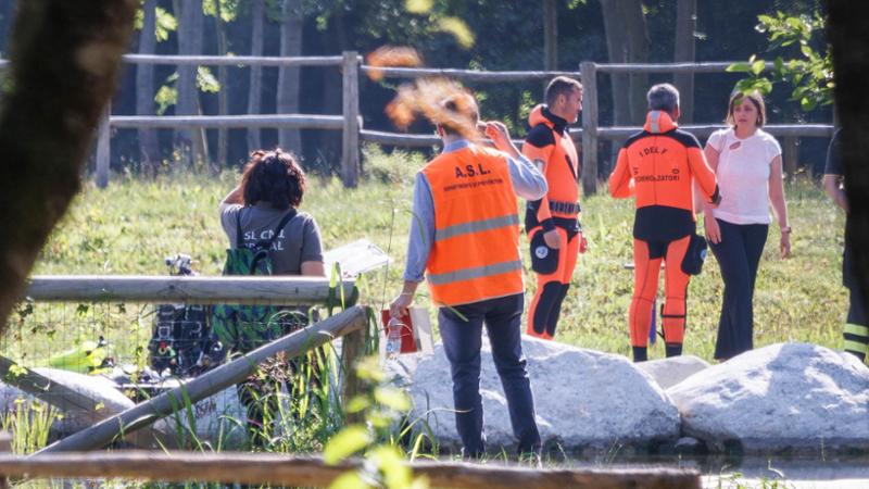 Indagini con laser tridimensionali per chiarire il mistero della morte di Anisa al bioparco - La Stampa