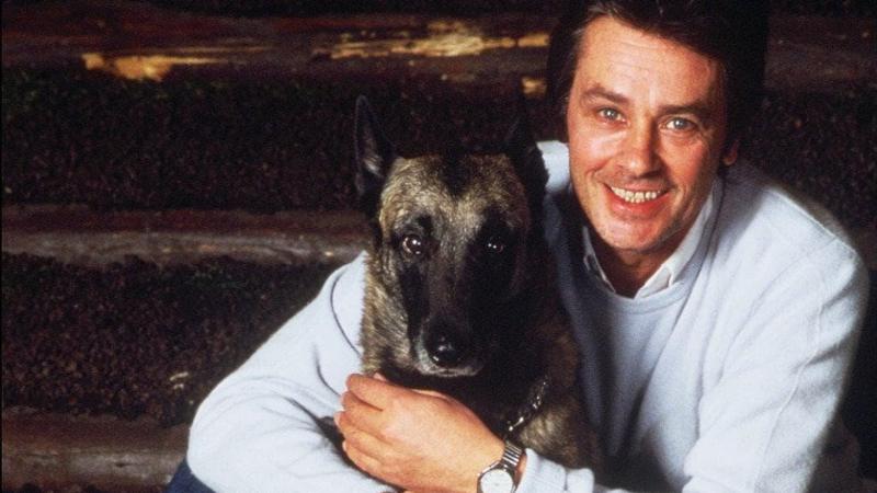 Komma Security Cartello Divieto Per Cani – Proprietà Privata – Niente Deiezioni Canine – Giallo/Rosso – Resistente Alle Intemperie Per Esterno