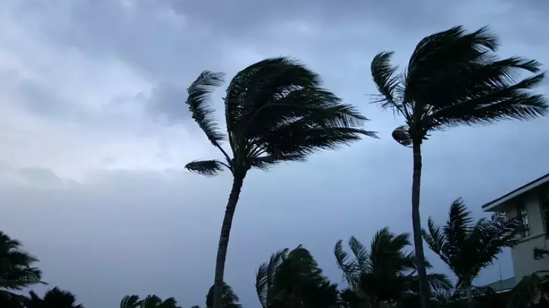 Uragano Milton verso la Florida: in atto evacuazione di massa - La