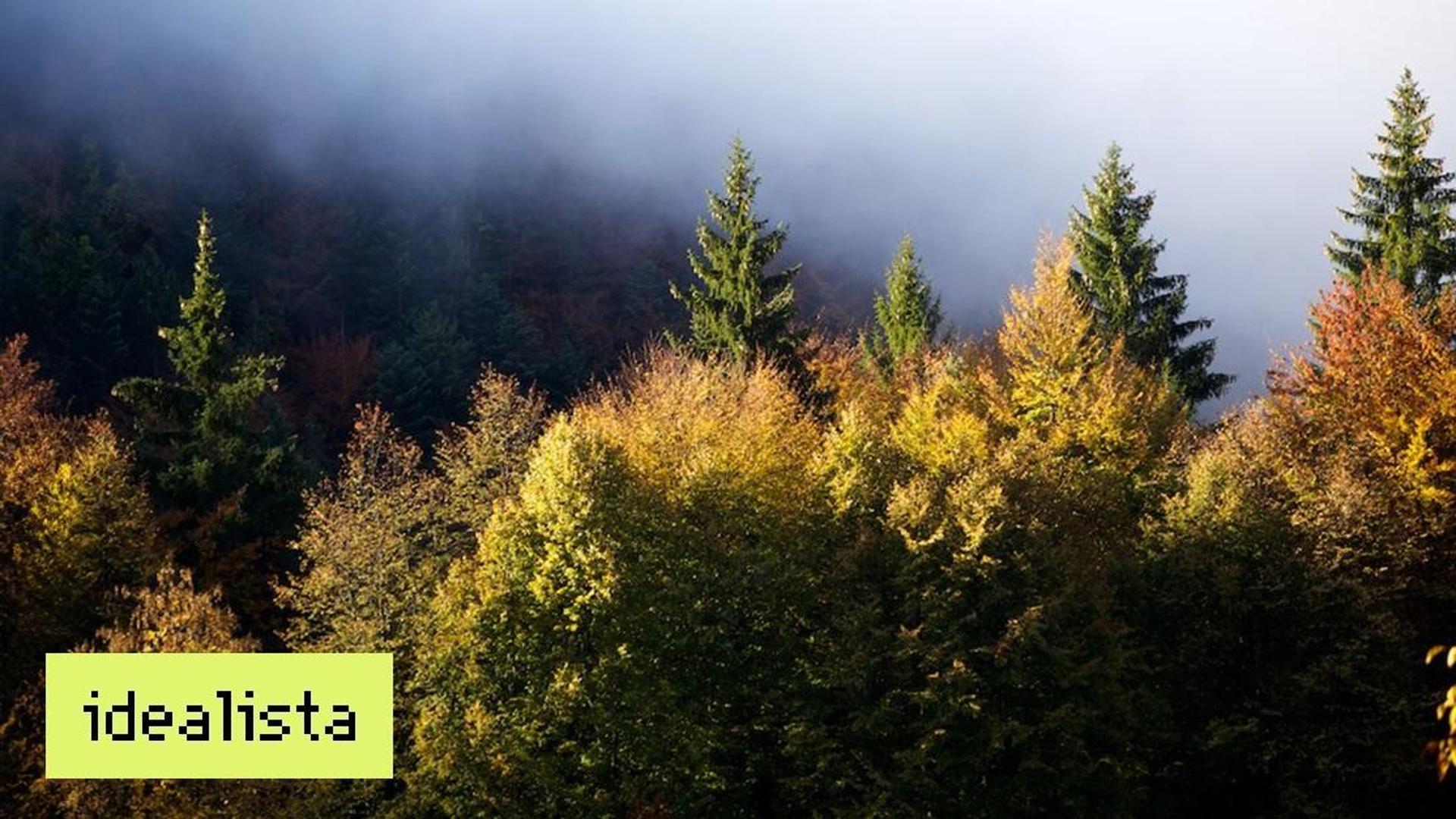 I 5 luoghi più belli dove ammirare il foliage autunnale: uno di questi ...