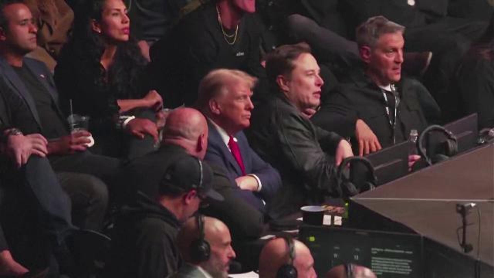 New York, Trump e Musk al combattimento MMA al Madison Square Garden ...