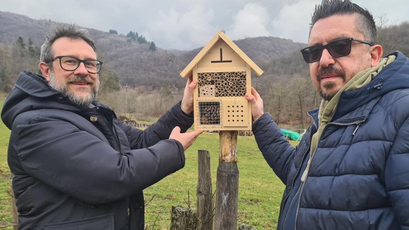 I nidi sono la casa degli insetti, possono essere di carta, di terra