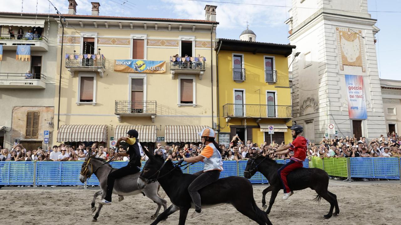 Sfide ed emozioni al palio degli asini di Cameri - Le immagini - La Stampa