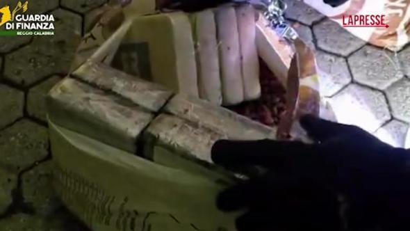 Cocaina nascosta nei sacchi di noccioline, maxi sequestro al porto di Gioia Tauro