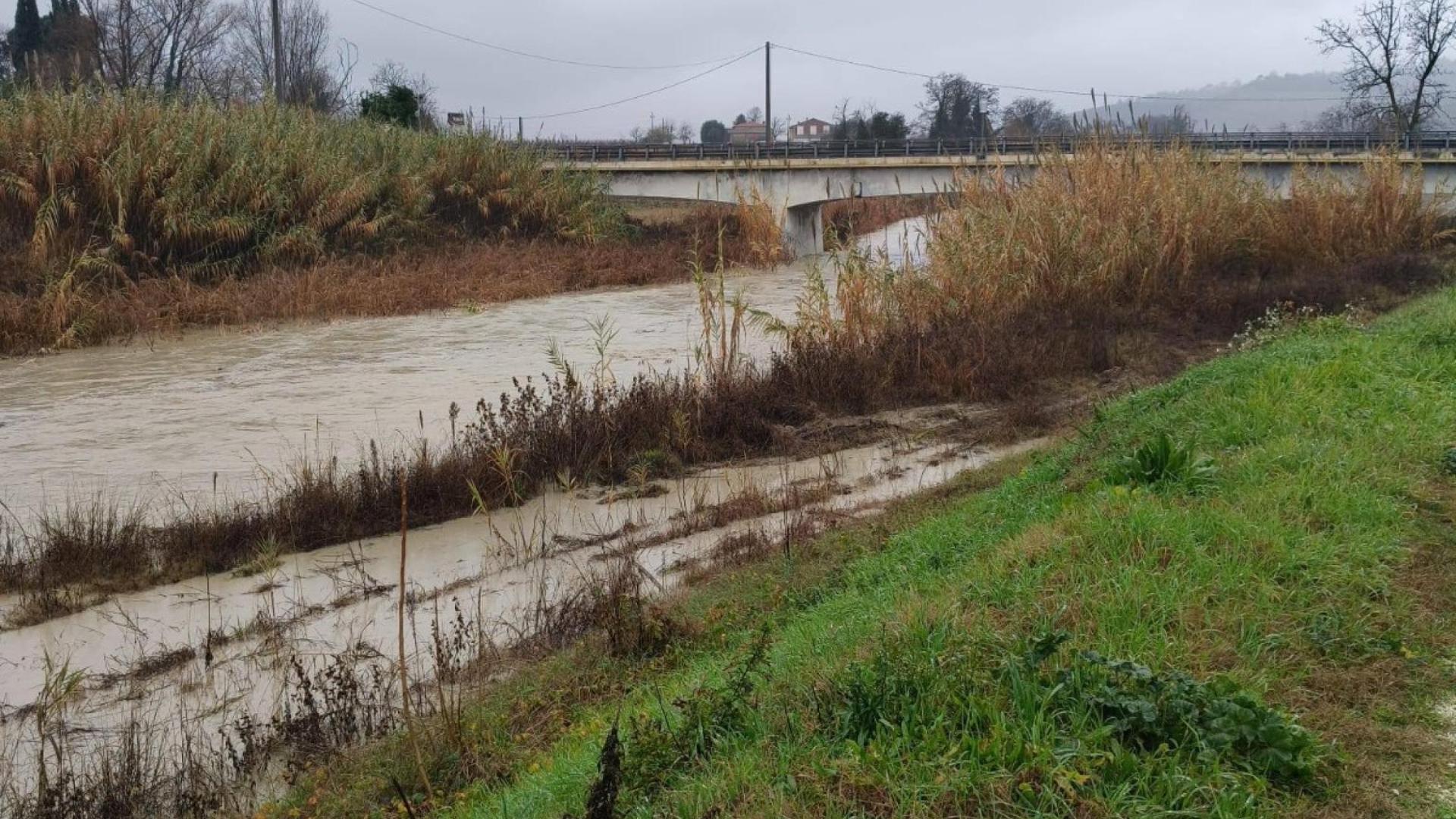 Maltempo, i fiumi fanno paura: evacuazioni nel Bolognese e nel Ravennate. Frane nel Cesenate