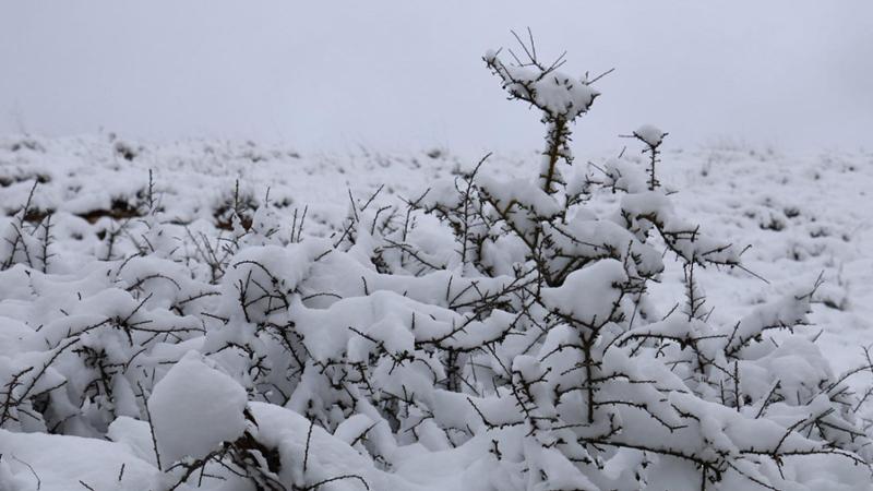 Gennaio gelido, ma non da record: il freddo di oggi preoccupa meno del Natale mite