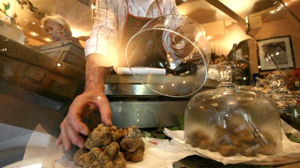 Alba, lo storico tartufaio: “Sempre disponibile e costa meno, il 70% arriva dall’estero”