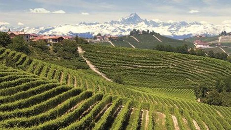 L'ultimo articolo per La Stampa: “Così è rinata la viticoltura delle Langhe”