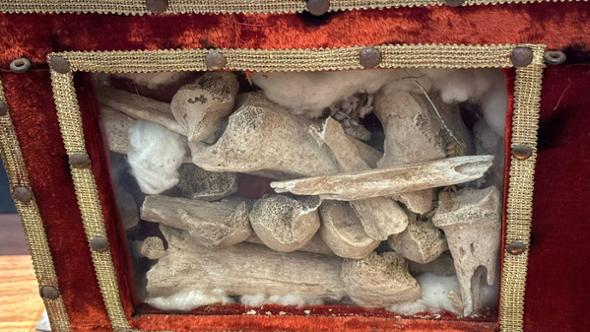 Albenga celebra i 380 anni dalla donazione delle reliquie di due Santi