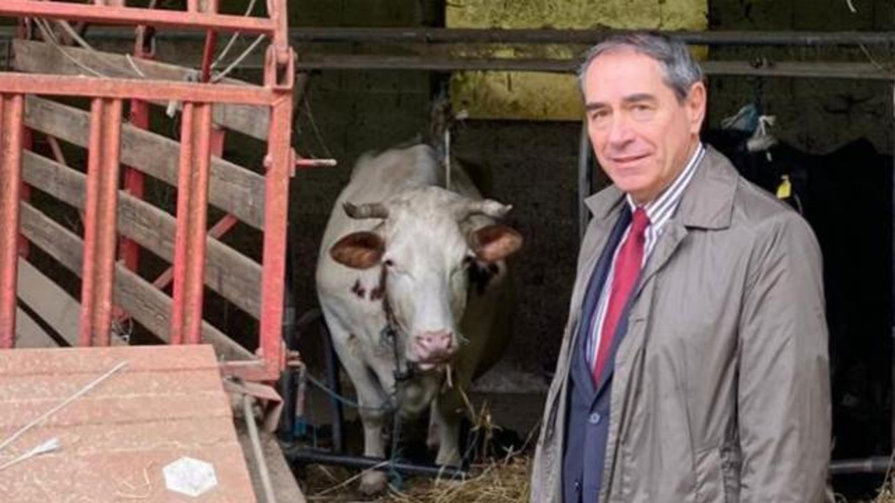 L'agricoltore in ospedale, un sindaco nel Vicentino deve accudire le sue vacche: 