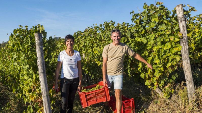 Non solo Rolex e vigneti. A caccia del tesoro del broker albese con i cani che fiutano le banconote
