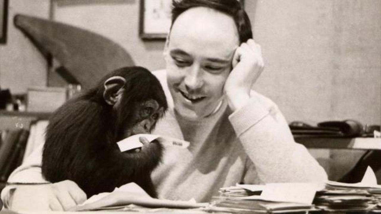 Morto il grande etologo Desmond Morris, raccontò l’uomo come “scimmia nuda”