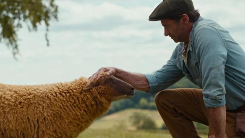 Hugh Jackman: “Ecco le mie pecore detective”