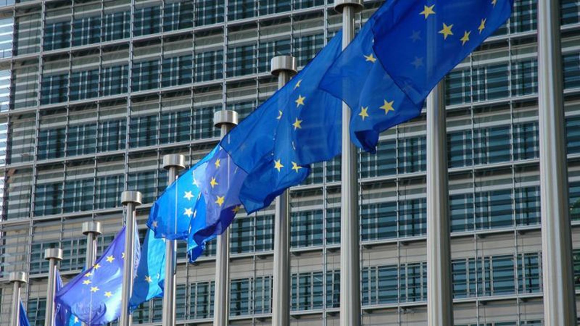 Perch&eacute; vogliamo la costituzione Ue