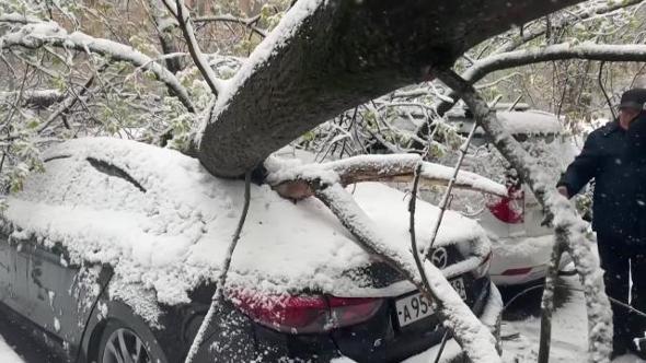 Bufera di neve fuori stagione a Mosca: alberi caduti sulle auto e strade bloccate nella capitale