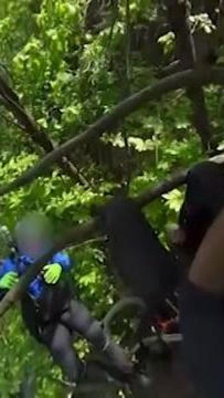 Il volo finisce tra i rami, parapendista impigliato nel Torinese: il salvataggio a Frossasco