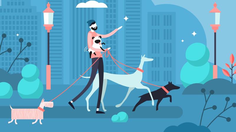 La pillola per la longevità dei cani e l’ossessione umana per l’eternità