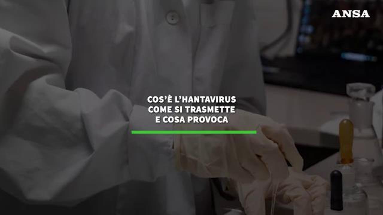 Tutto quello che dovete sapere sull'Hantavirus: cos'è, come si trasmette e cosa provoca