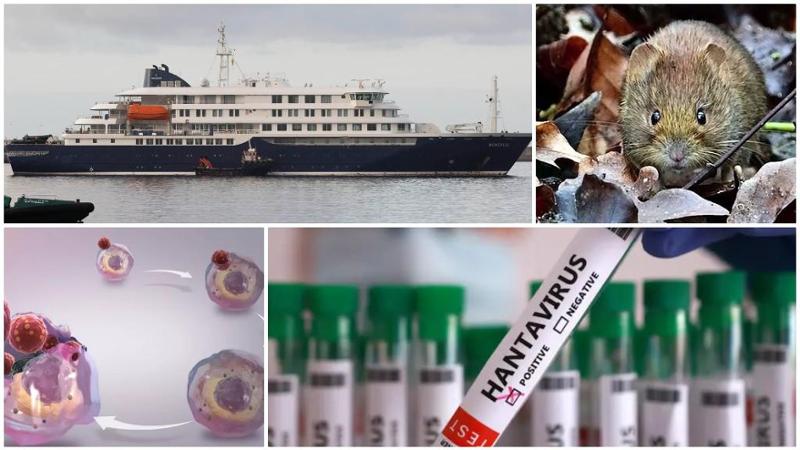 La partenza in Argentina, i morti e l’emergenza Hantavirus: le tappe della crociera di lusso Hondius