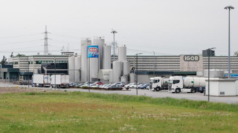 Igor, il re del gorgonzola si allea con l’olandese VanDrie: Novara produrrà proteine premium