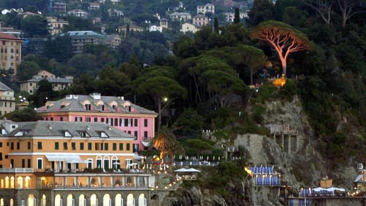 Il pino di Camogli, quando cade un simbolo