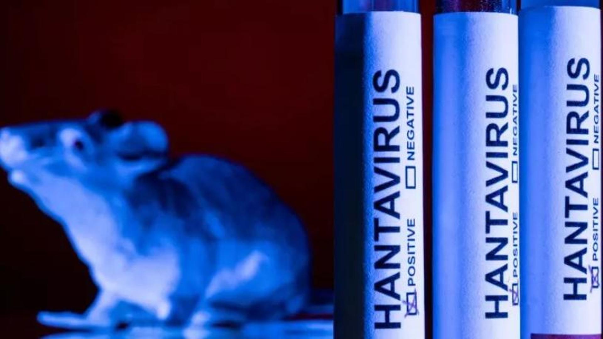 Complotti e allarmismo, il circo dell&rsquo;Hantavirus